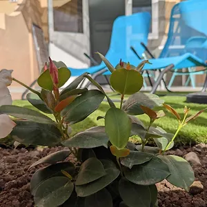 Oceano Mare - Tu Casa En Maspalomas Apartamento
