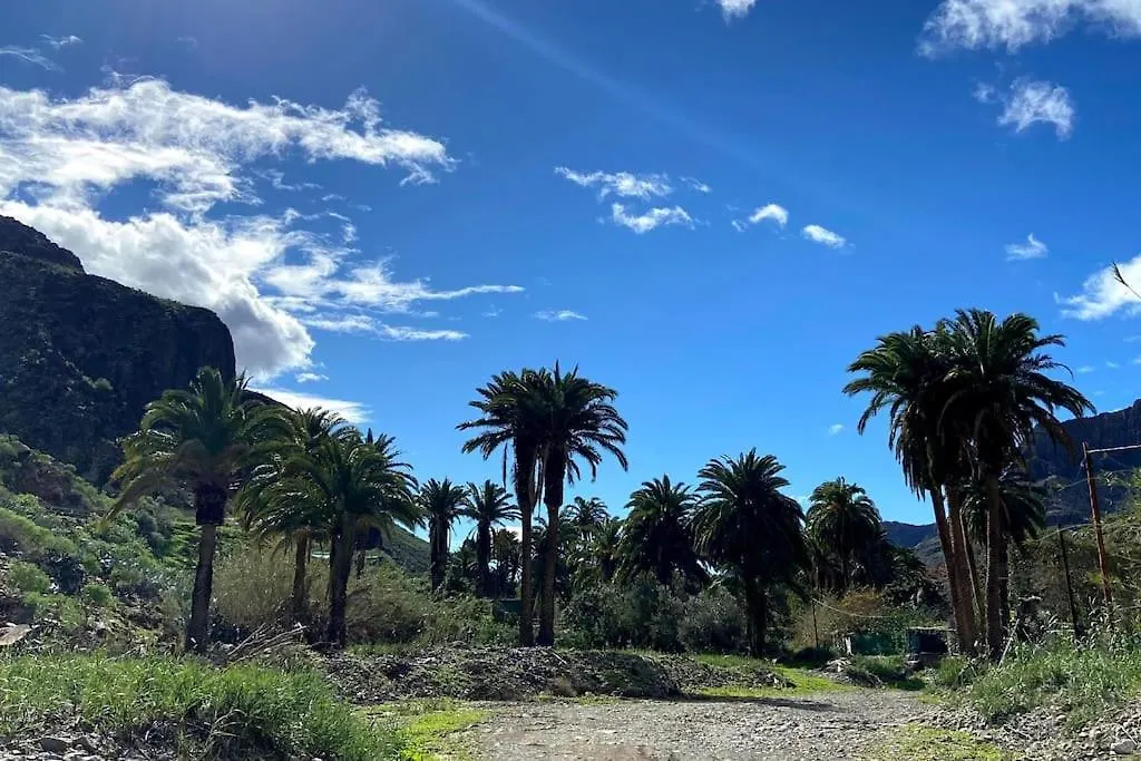 Country House Near Fataga & Maspalomas Maspalomas  Apartment Maspalomas (Gran Canaria)