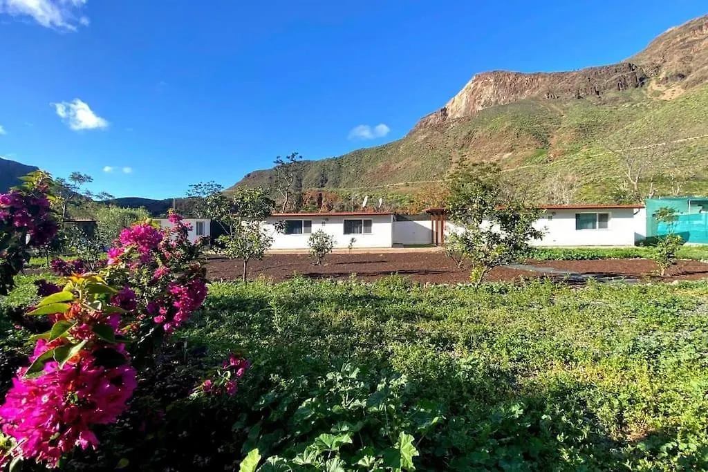 Country House Near Fataga & Maspalomas Maspalomas