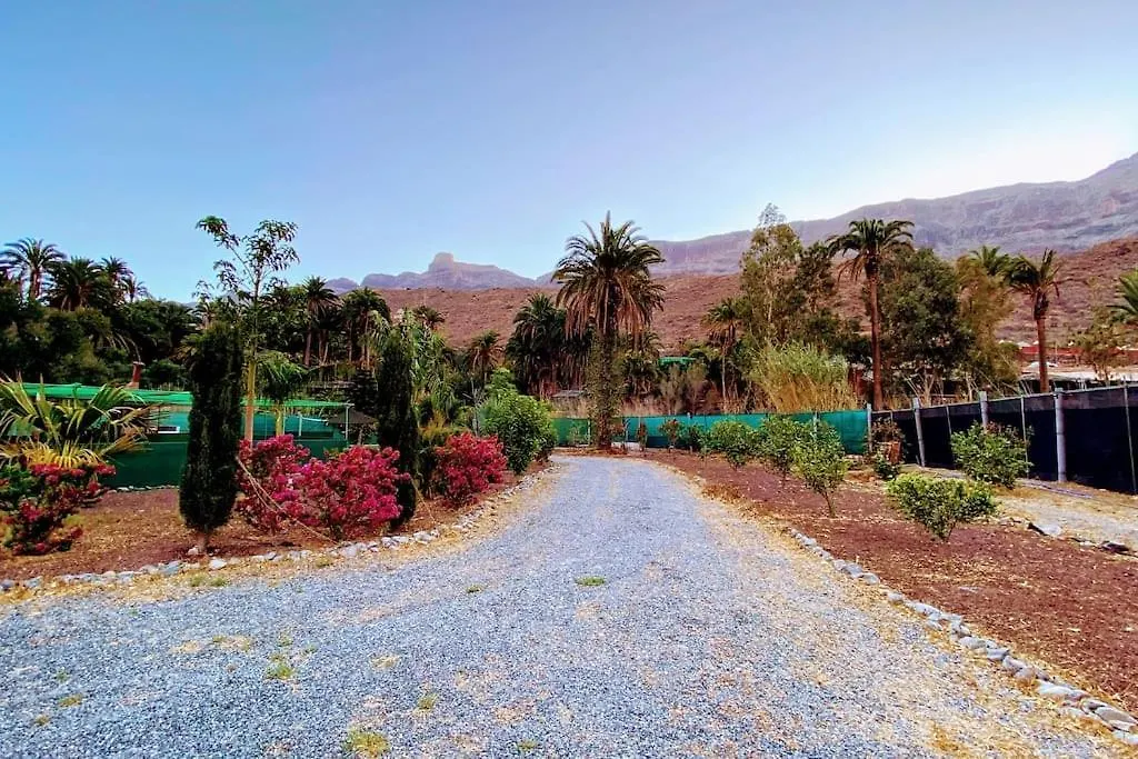 Country House Near Fataga & Maspalomas Maspalomas  Maspalomas (Gran Canaria)