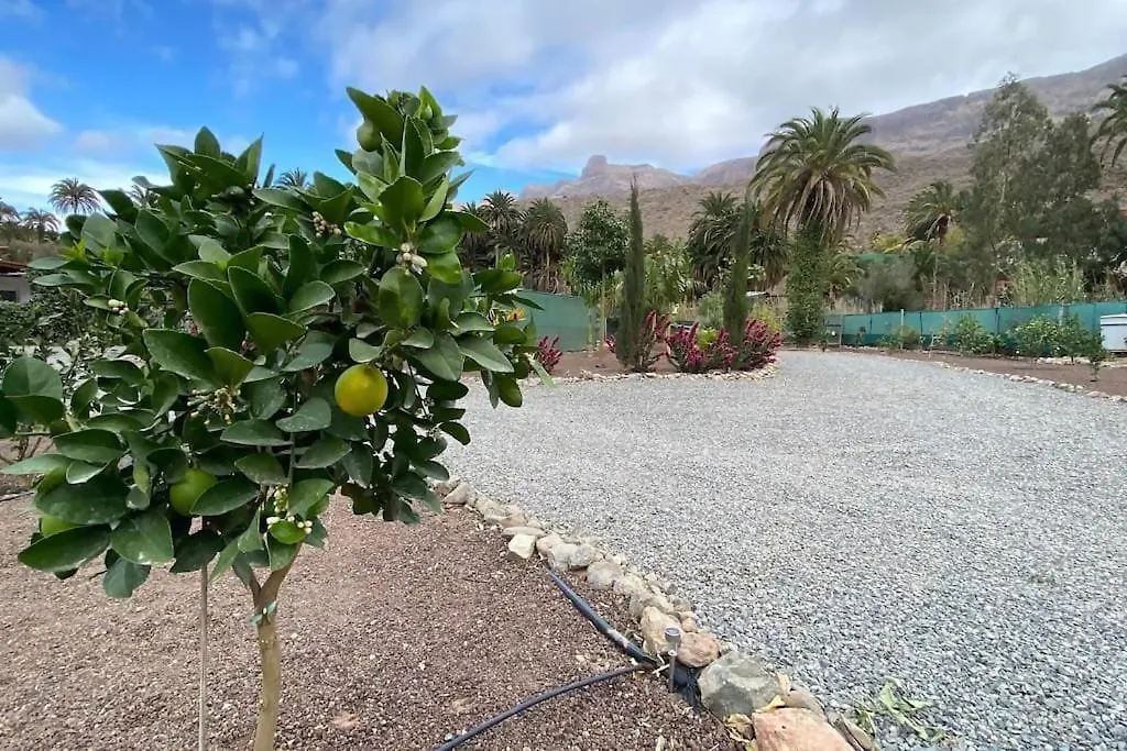 Country House Near Fataga & Maspalomas Maspalomas